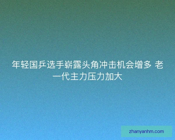 年轻国乒选手崭露头角冲击机会增多 老一代主力压力加大